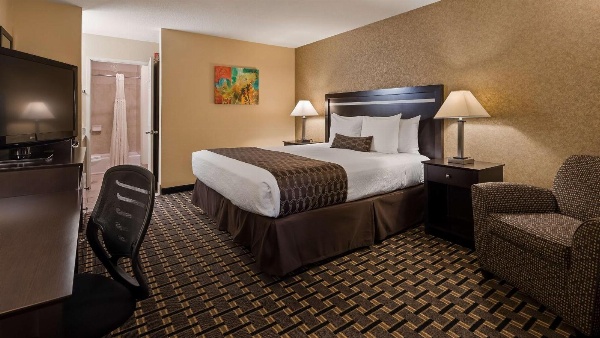 Best Western Plus Pleasanton Inn image 3
